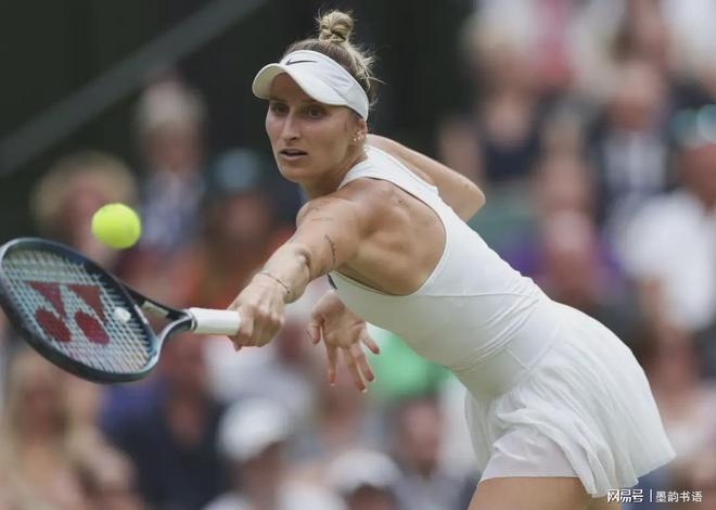 在球场上 在球场上